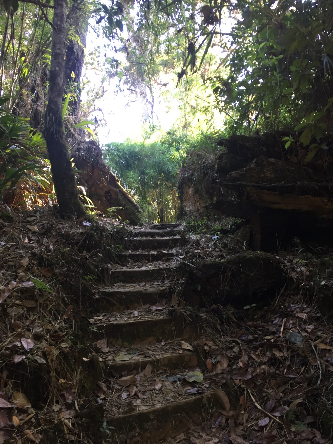 2016-04-04 08.10.00.jpg