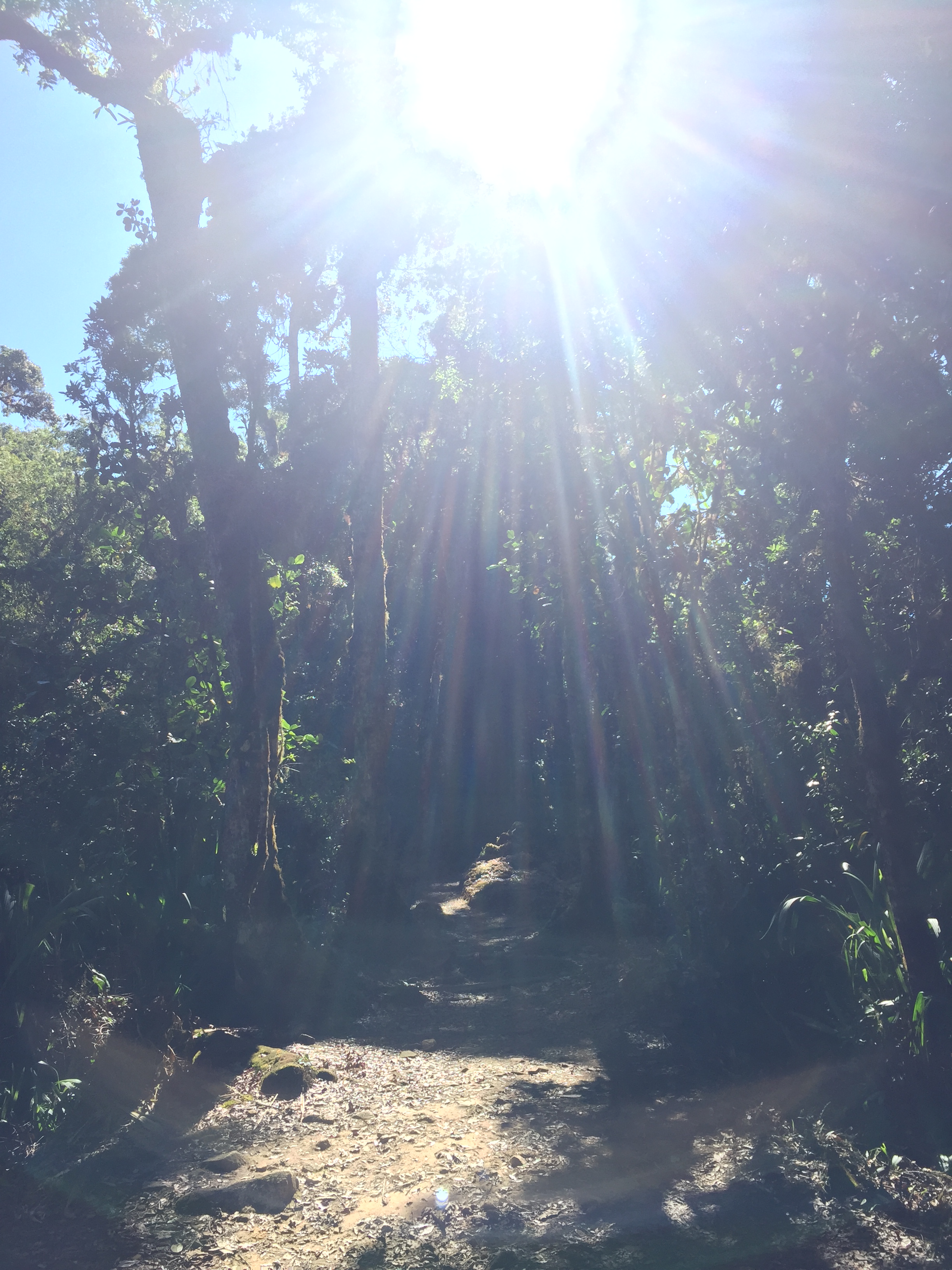 2016-04-04 08.21.36 HDR.jpg